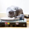scratch pad turnable cool cat