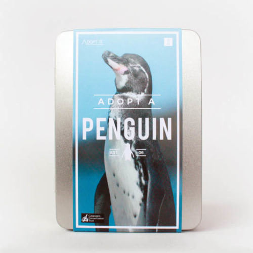 Penguin-main