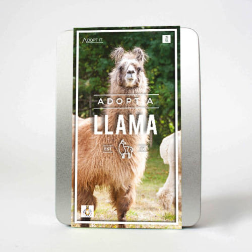 adopt-a-llama-main