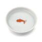 goldfish-pet-bowl-front-angle-on-white_70378