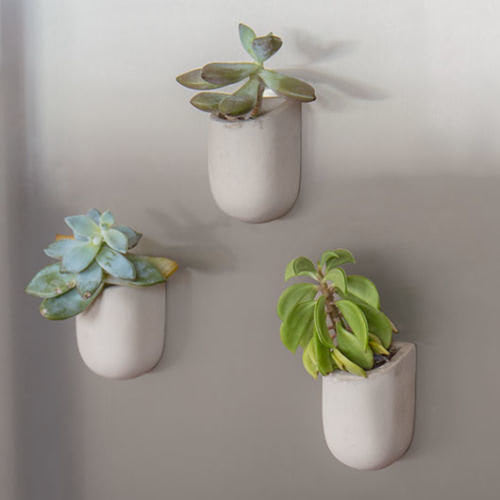 magnetic-planters-main