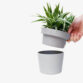 plant-pot-hideway-hand-removing-plant