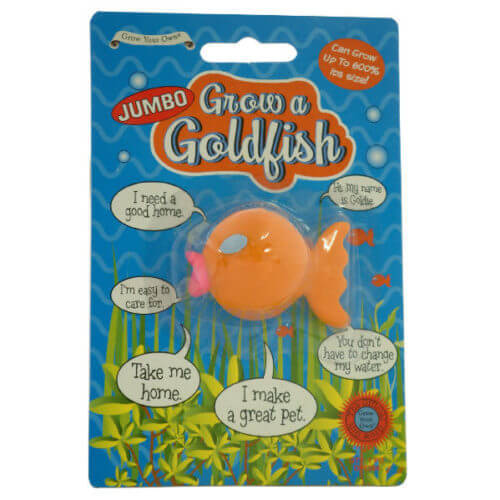 Grow-A-Goldfish-Fish-Fun-Funny-Novetly-Joke-Prank-Party-Secret-Santa-Gift-350951104102