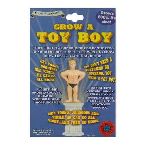 Grow-A-Toyboy-Toy-Boy-Fun-Funny-Novetly-Joke-Prank-Party-Secret-Santa-Adult-Gift-350951108433