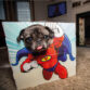 Animal-DogCat-Pet-Photobooth-Superhero-Novelty-Fun-Party-Costume-Frame-Gift-351710246055